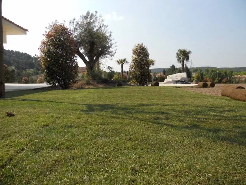 Gazon de placage réalisé par Les Jardins de Romain.