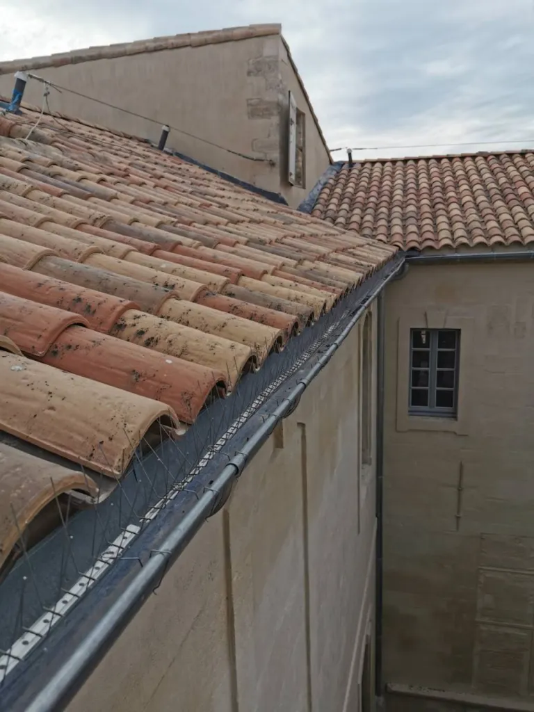oisipics pigeons gouttières arles 13200
