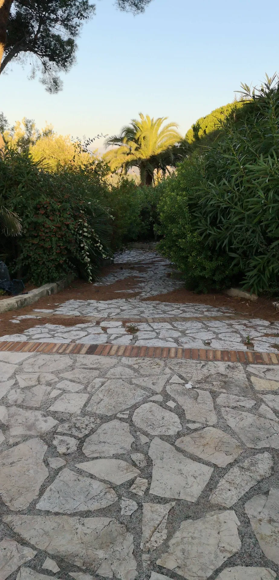 Jardin avant remise en état à Antibes
