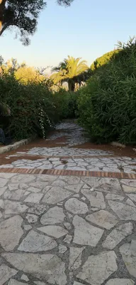 Jardin avant remise en état à Antibes