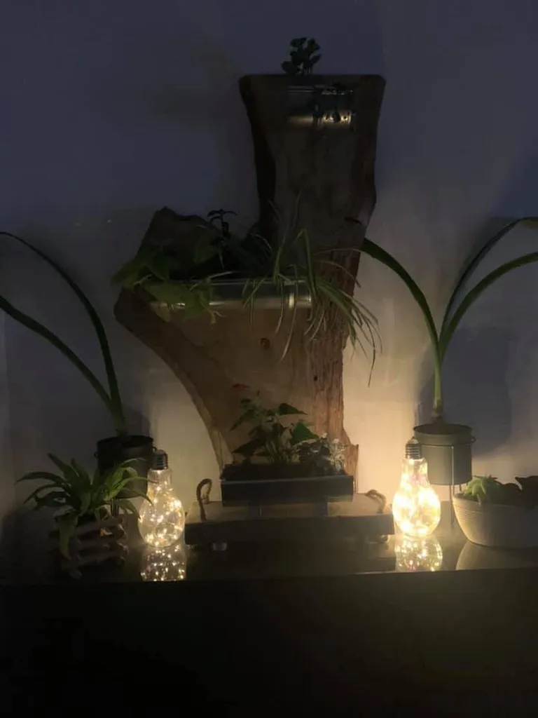 Création tableau végétal pour vos maisons à Parentis-En-Born