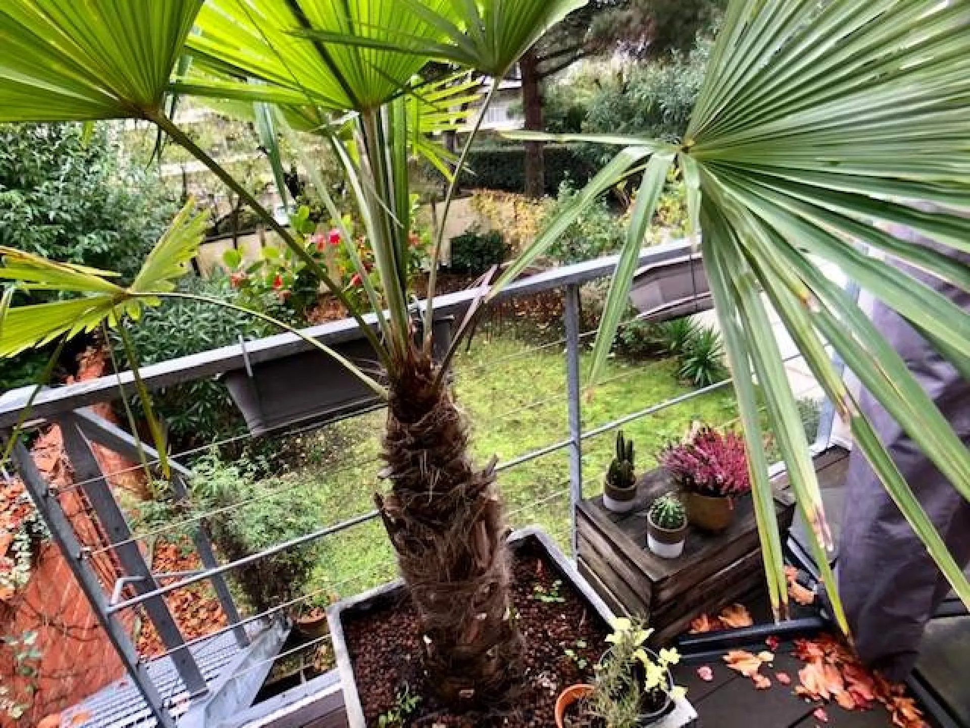 Vendue maison en pierre Bordeaux Caudéran Primerose 