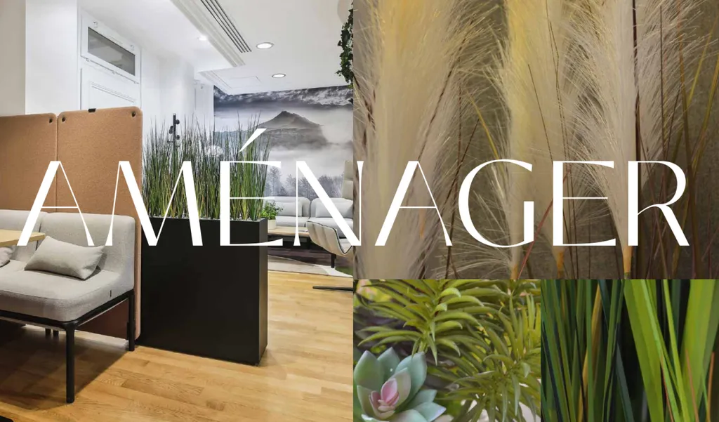 Aménagez vos bureaux de plantes vertes