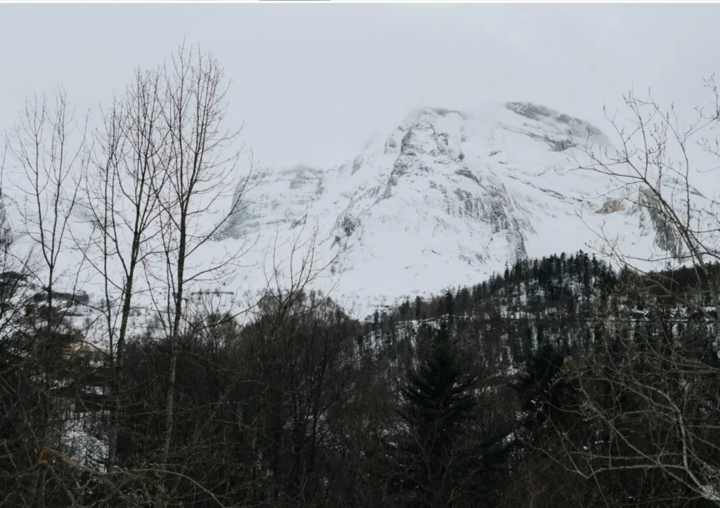 My Event’ By Jenny, la Wedding Planner à Bordeaux pour l’organisation de mariage d’hiver à la montagne 
