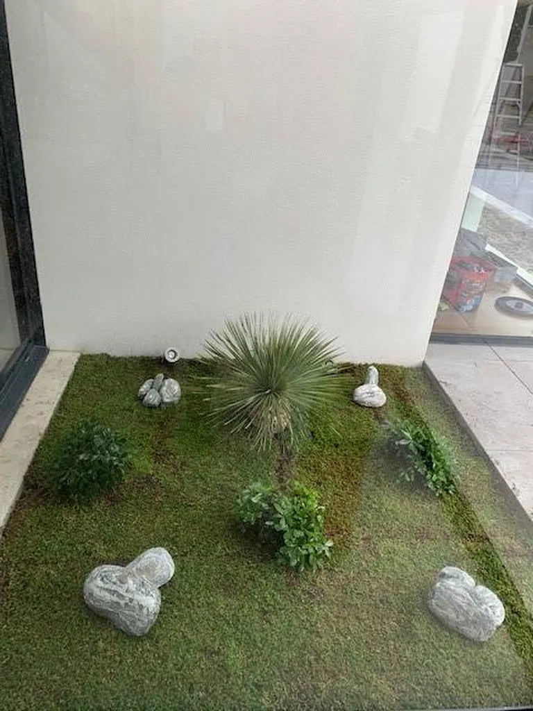 Paysagiste spécialisé en patios verts avec système d’irrigation : quelle solution de qualité à Biscarrosse