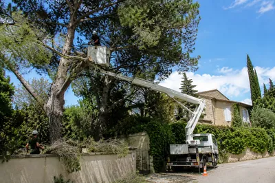 Élagage d'un arbre dangereux à Aménagement paysager d'un jardin à Villeneuve-lès-Avignon