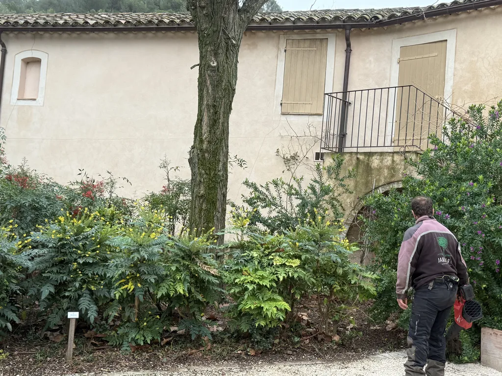 soufflage des allées