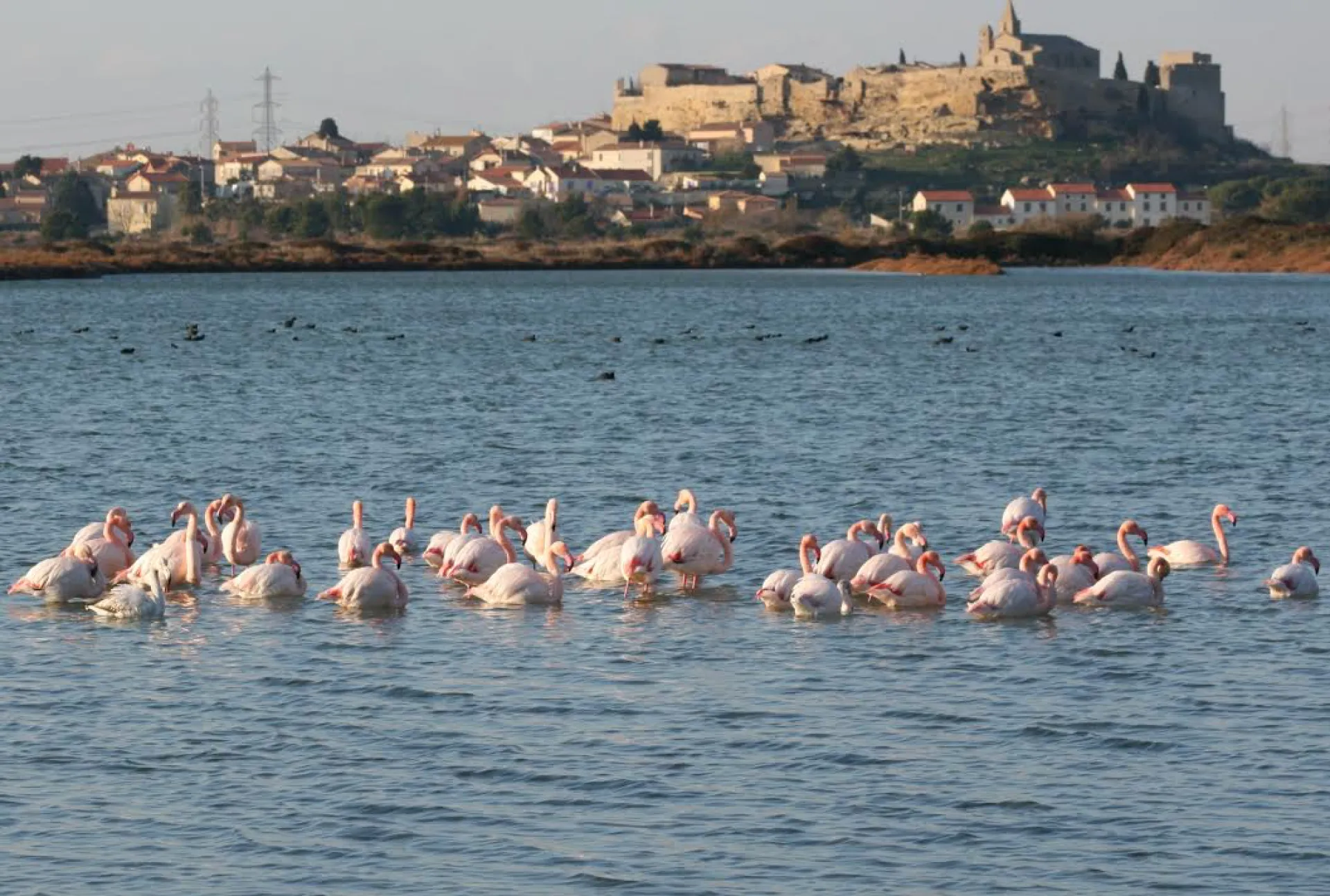Taxi vers Fos sur Mer pour la Gare Aix en Provence TGV
