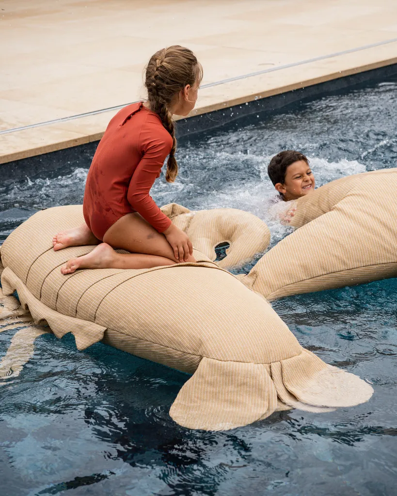 Accessoire de piscine