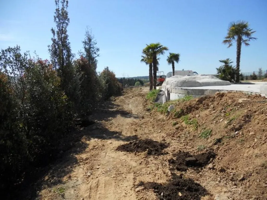 Plantation d'une Haie mixte par le paysagiste de Fuveau.