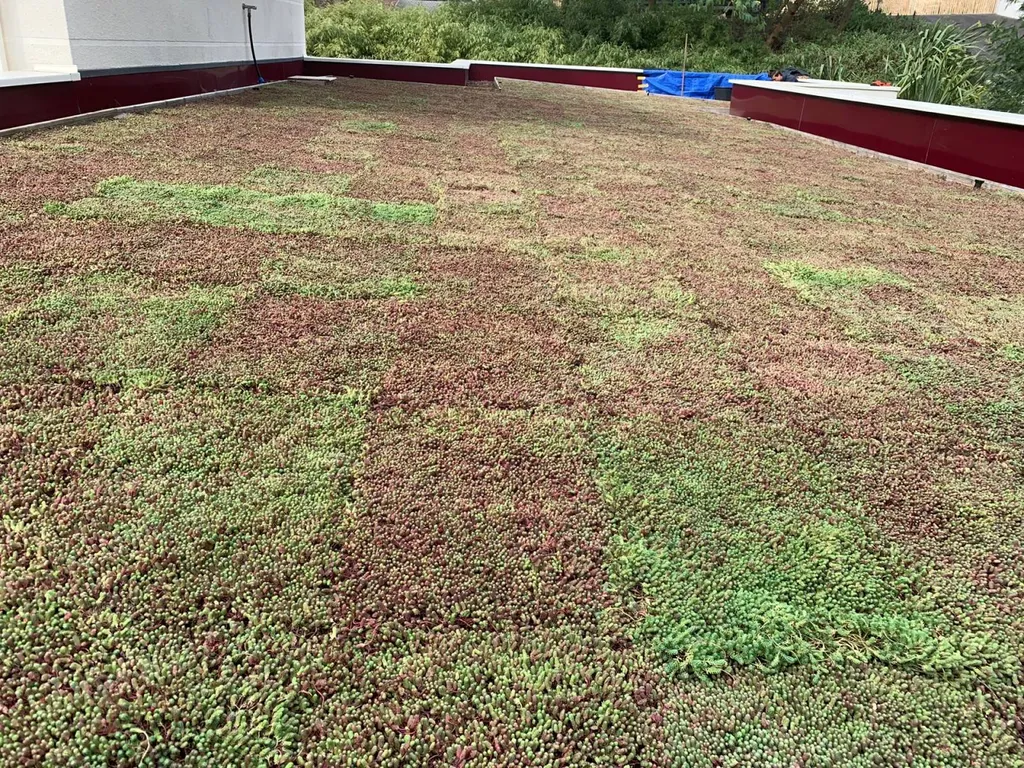 Faire installer une toiture végétalisée par un jardinier près de Mimizan