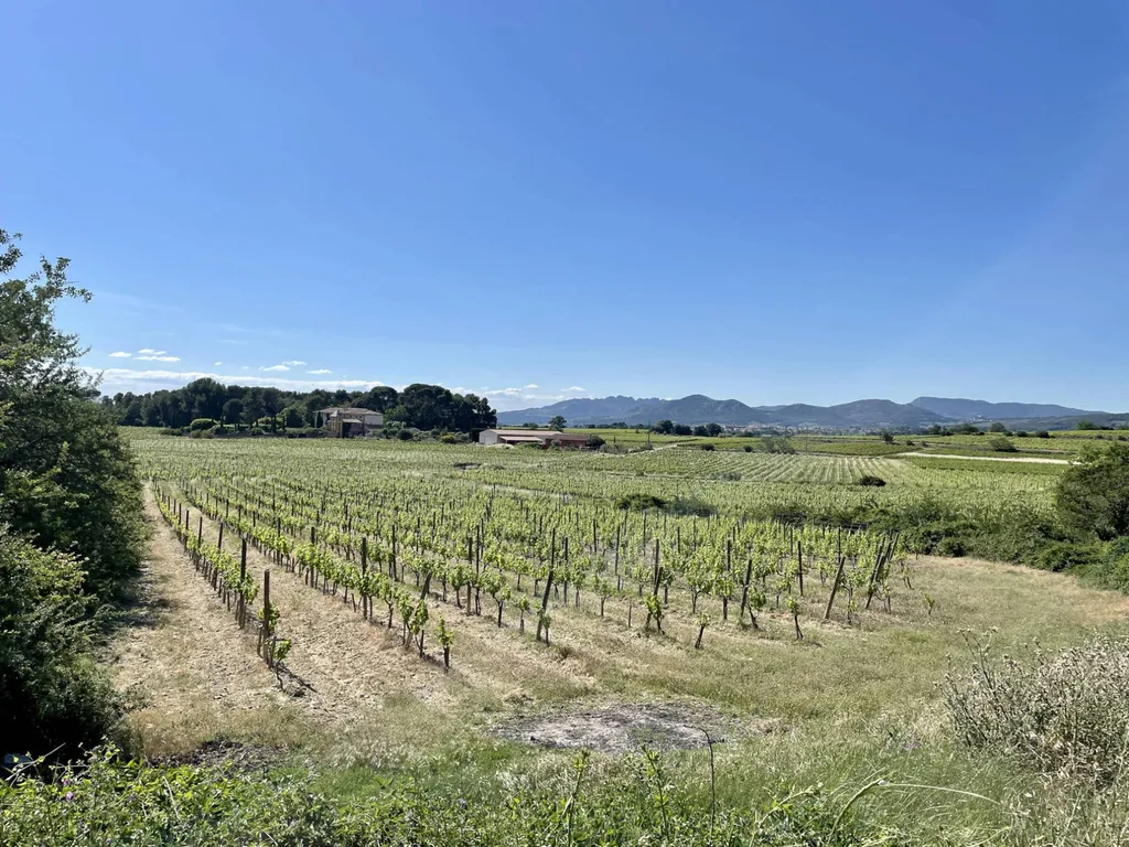 Propriété viticole