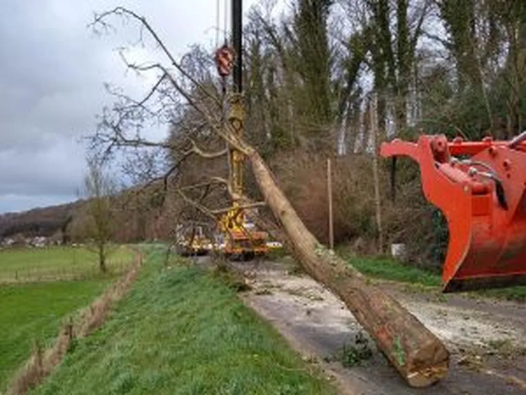 Abattage d’arbres avec grue 60 tonnes à Ganzeville (76400)