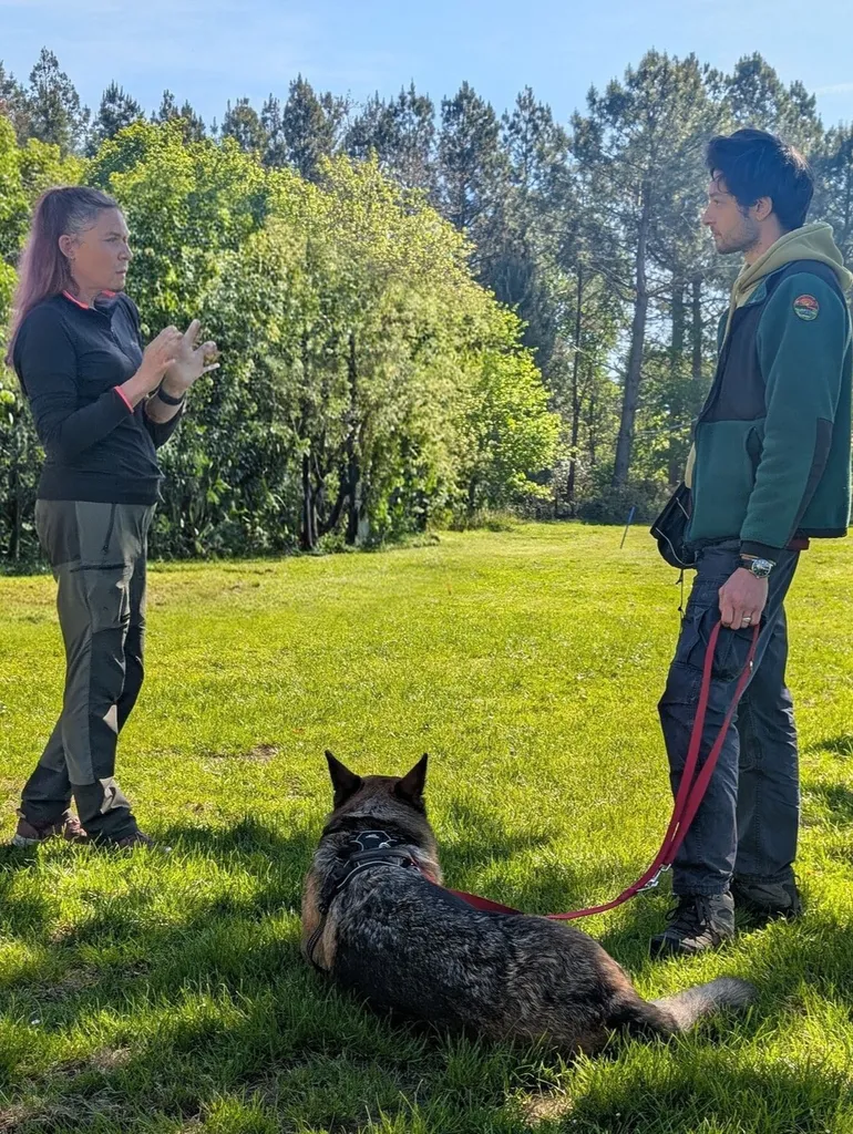 Développez vos compétences avec une formation professionnelle complète d’éducateur canin comportementaliste à Biganos centrée sur l’éthique et la pratique