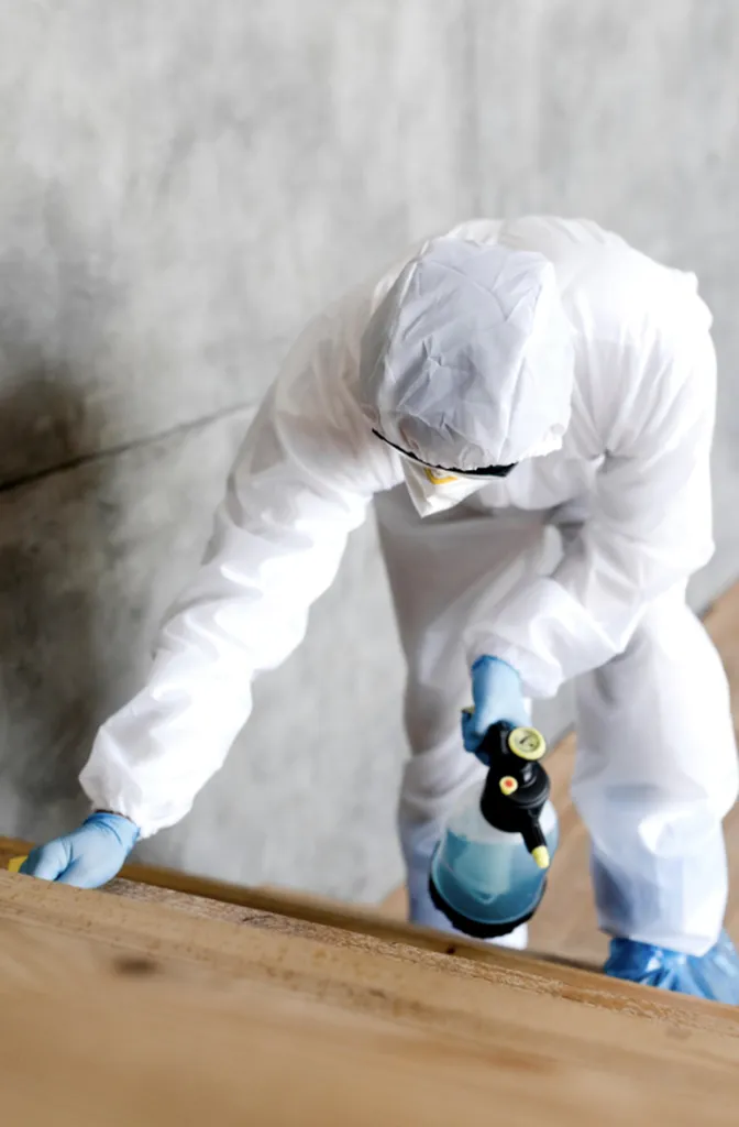 Quel est le prix pour une intervention de dératisation à domicile à Toulouse en Haute Garonne ?