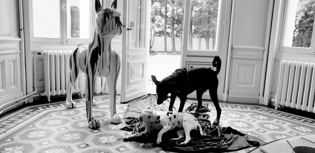 Centre de formation reconnu pour éducateurs comportementalistes canins sur Bordeaux et ses alentours.