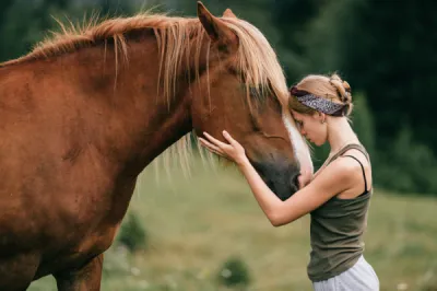 Centre de repos et de convalescence pour chevaux à Cabriès Écurie de Saint-Amand