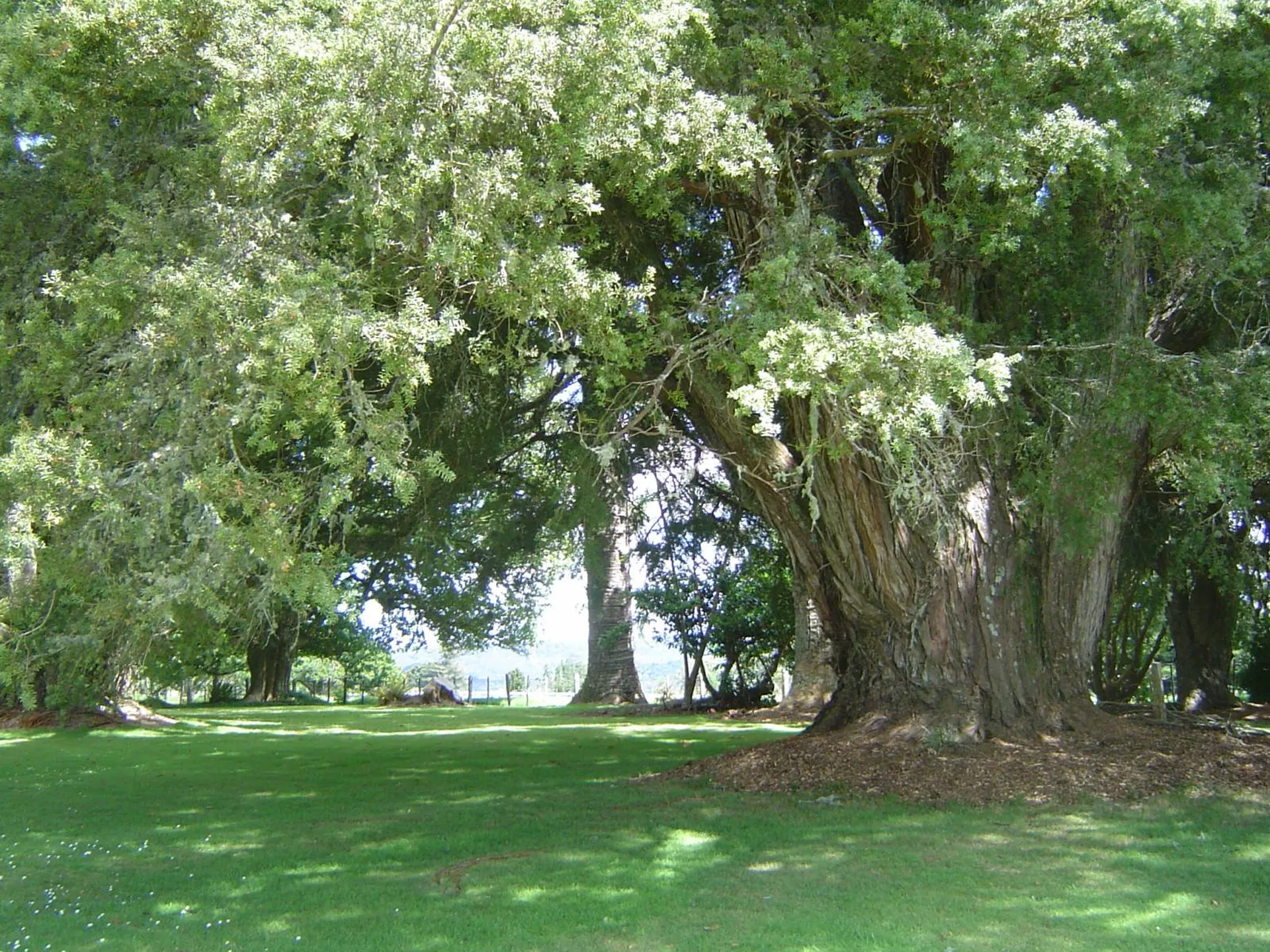 Fort face aux bourrasques