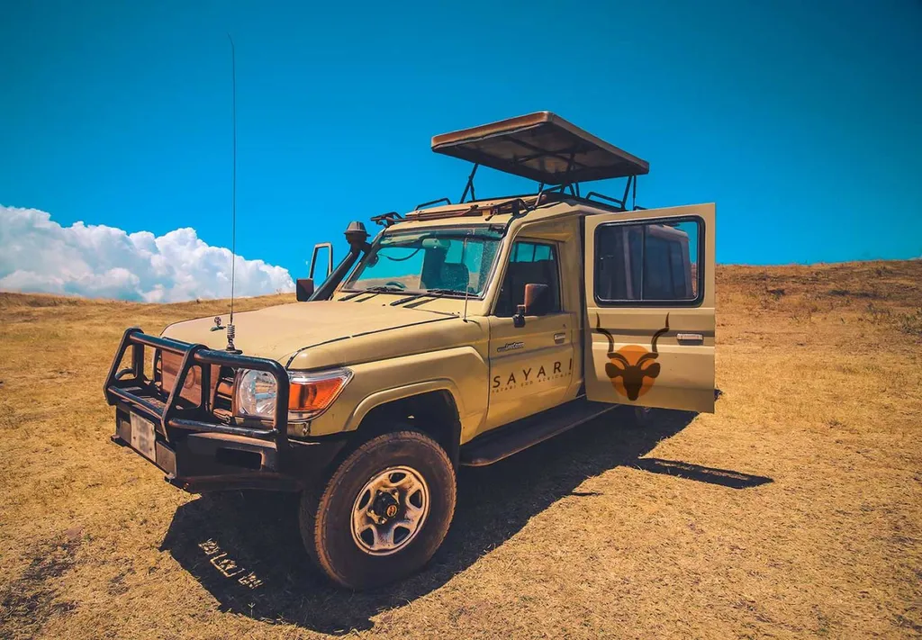 flocage logo sur véhicule agence de voyage spécialisée en safari afrique