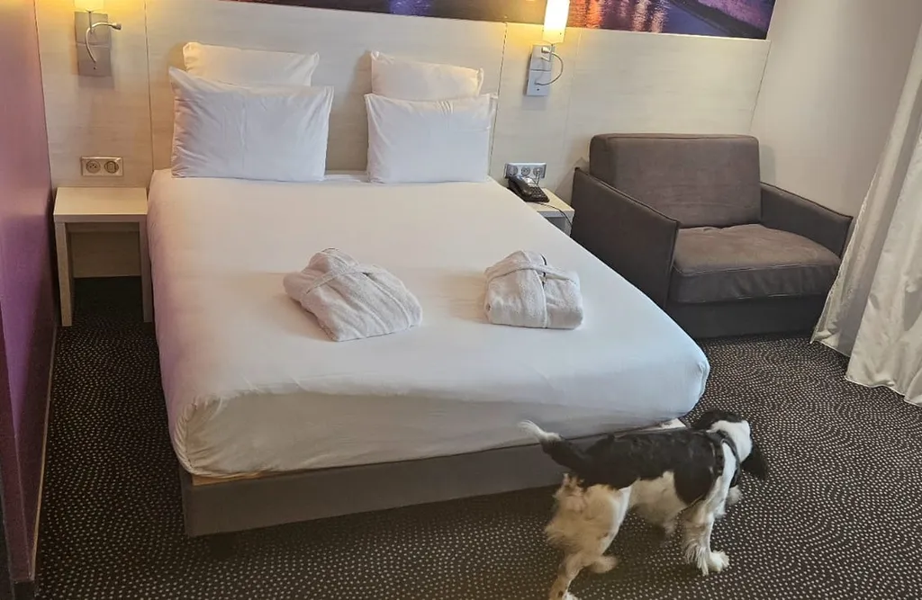 Mission de détection canine de punaises de lit dans un hôtel pour les chiens de canem detect