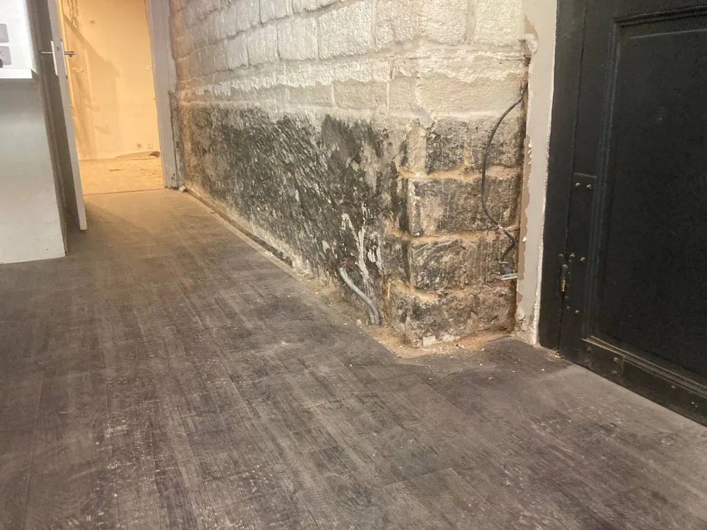 Moisissures et humidité des murs à Perpignan