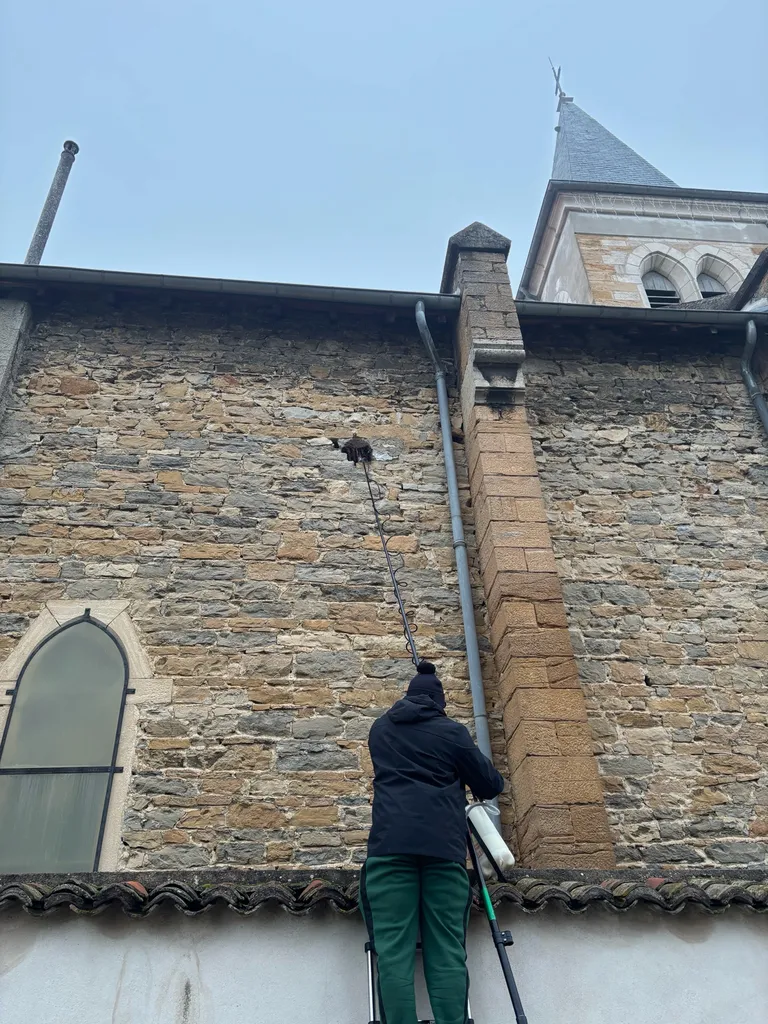 entreprise spécialisée guêpes et frelon 