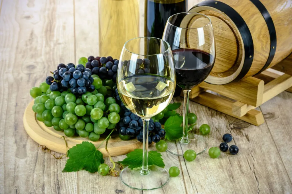 Vignoble et Oenotourisme  Cassis Domaine La Dona Tigana
