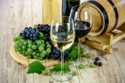 Vignoble et Oenotourisme  Cassis Domaine La Dona Tigana