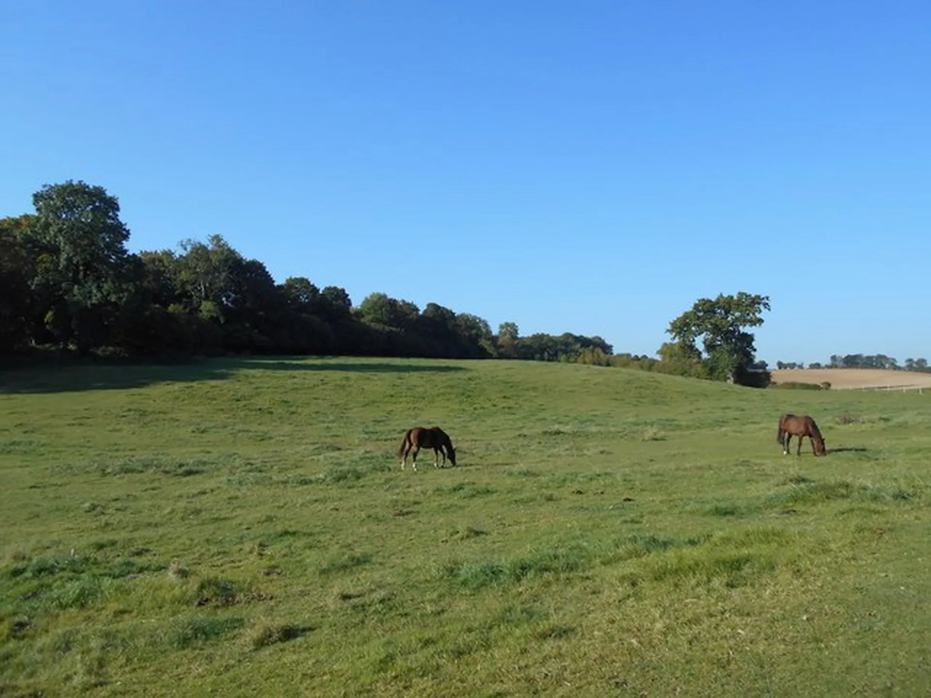ACQUERIR UNE DEMEURE D'EXCEPTION PROCHE DE PARIS, CALVADOS 14