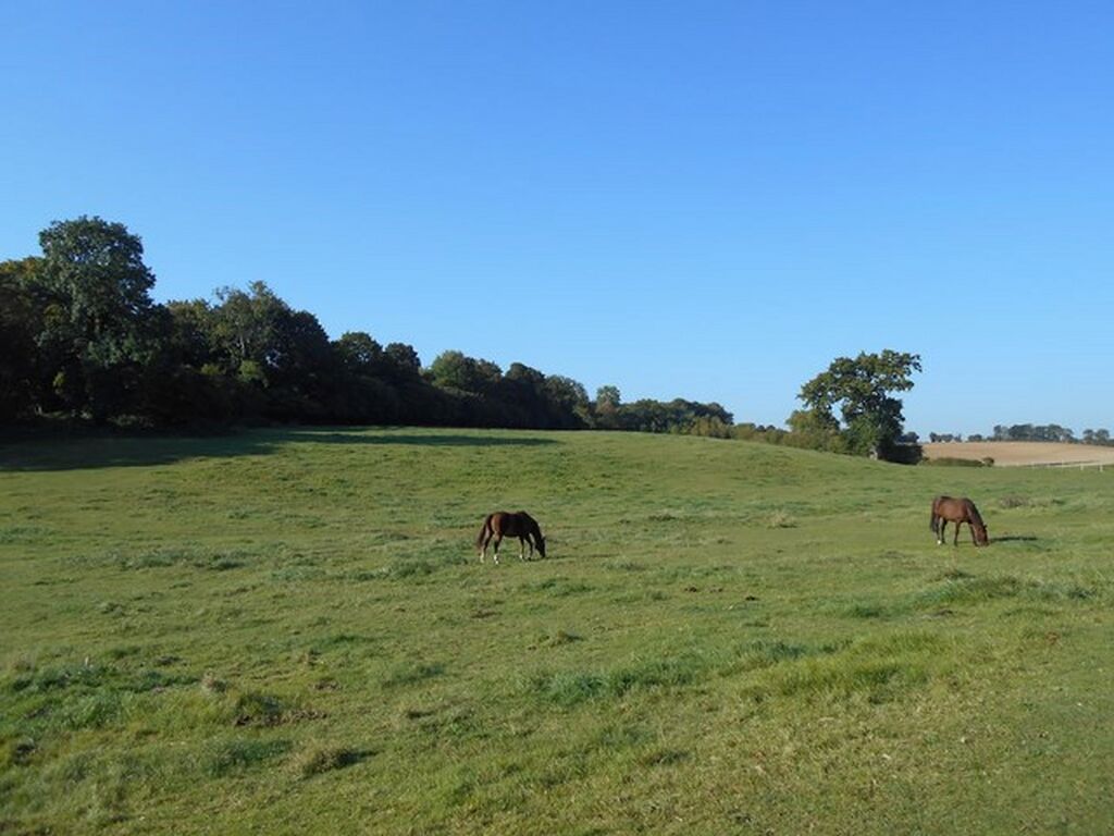 ACQUERIR UNE DEMEURE D'EXCEPTION PROCHE DE PARIS, CALVADOS 14