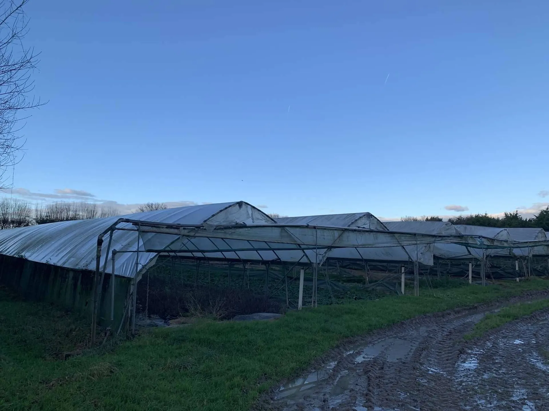 Région NORMANDIE (CALVADOS) : Entre LISIEUX et PONT L'EVEQUE : Exploitation agricole (maraîchage) sur 13 HA