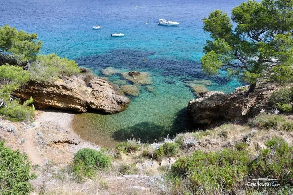 Visitez l'Ile Verte : Une Aventure Insulaire à Découvrir en Bateau avec L'Eden Boat