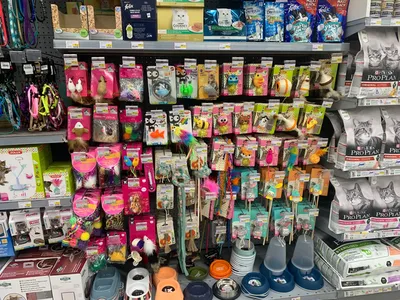 Magasin animalerie pour acheter des jouets pour chien et chat