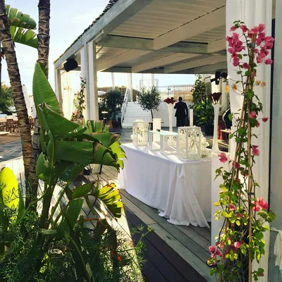 elegant-kosher-style-dinner-cannes-riviera