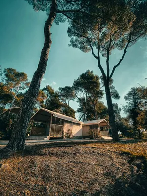 Assurance camping : votre sérénité garantie avec F2L PRO, même en cas d’inondation