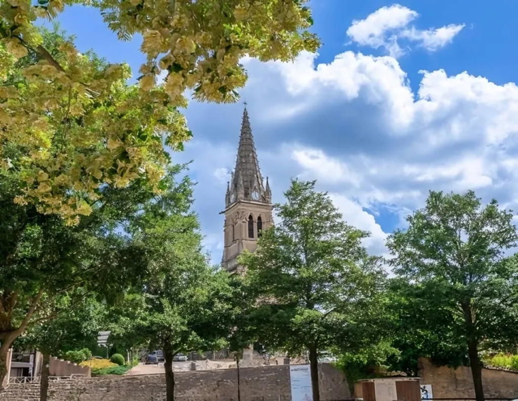 Des écrans interactifs SMART Board MX275 pour une collaboration fluide : le cas de la Commune de St Didier au Mont d’Or