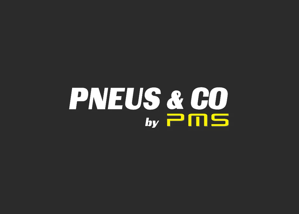 Pneus pour SUV & 4x4 pas cher, 3PMSF, 255/40 R20, 265/45 R20 Palavas-les-Flots, La Grande-Motte : véhicules sportifs, électriques, hybrides