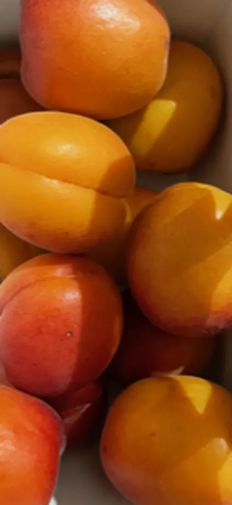 Livraison direct producteur des Abricots de Provence à Marseille