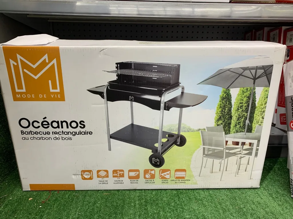 Barbecue charbon de bois