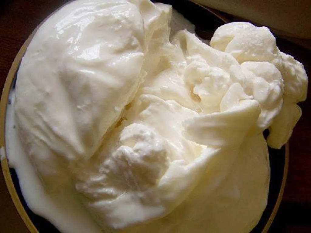 burrata fraiche