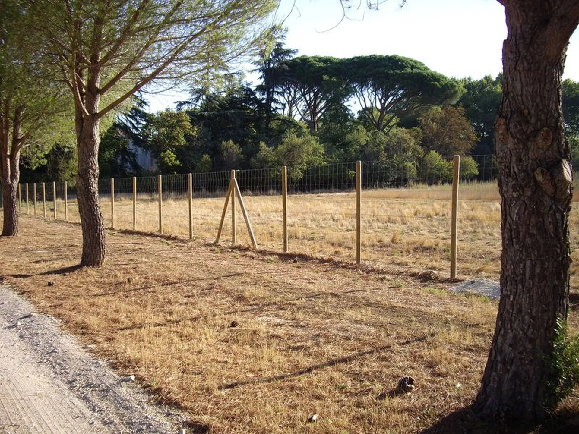 grillage noué pour un parc animalié