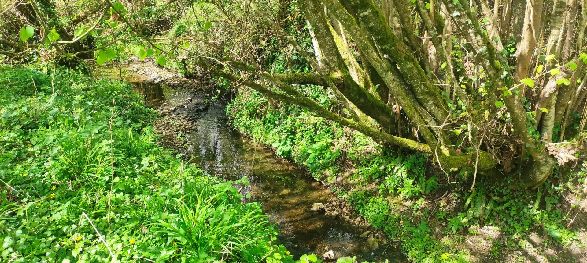 À vendre, proche de DEAUVILLE (14800) et de PONT-L'ÉVEQUE (14130), authentique chaumière normande avec son moulin à eau nichée dans un parc de plus de 9 000 m².