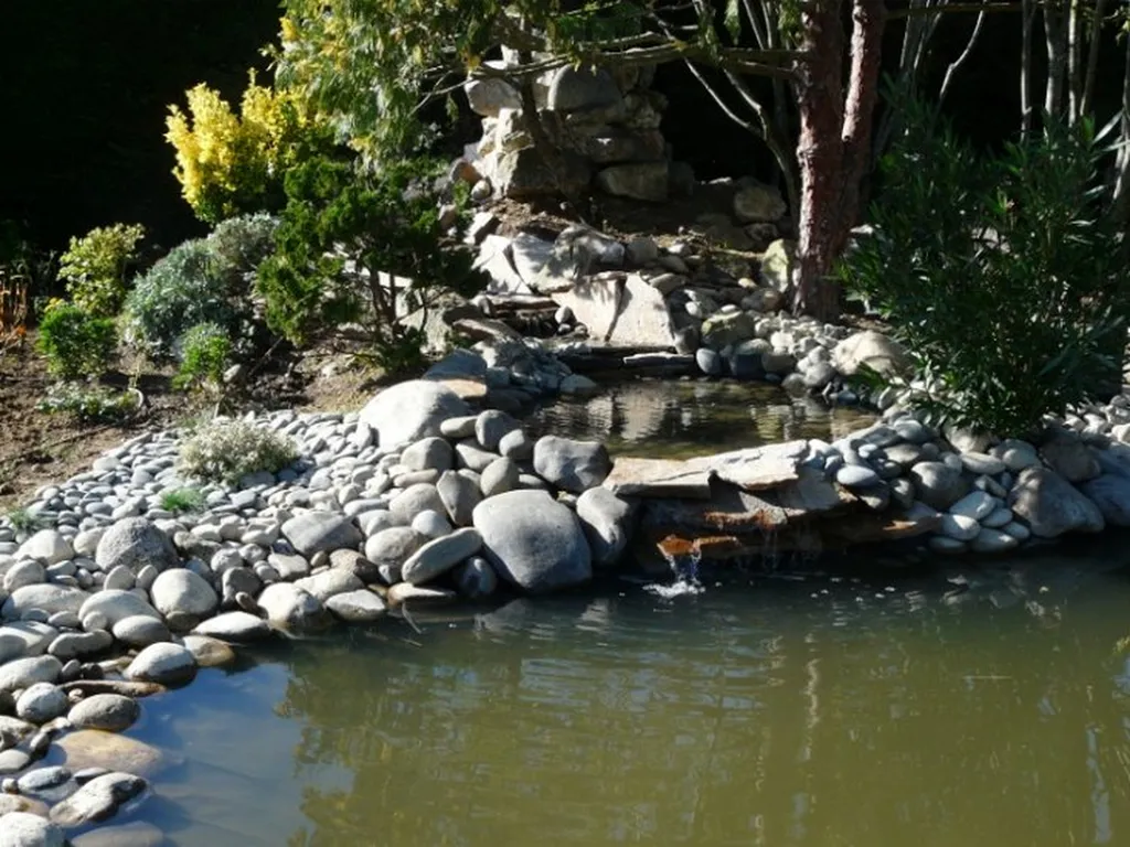 Bassin d'ornement