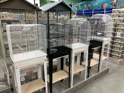 Vente de cages à oiseaux et de cages pour rongeurs