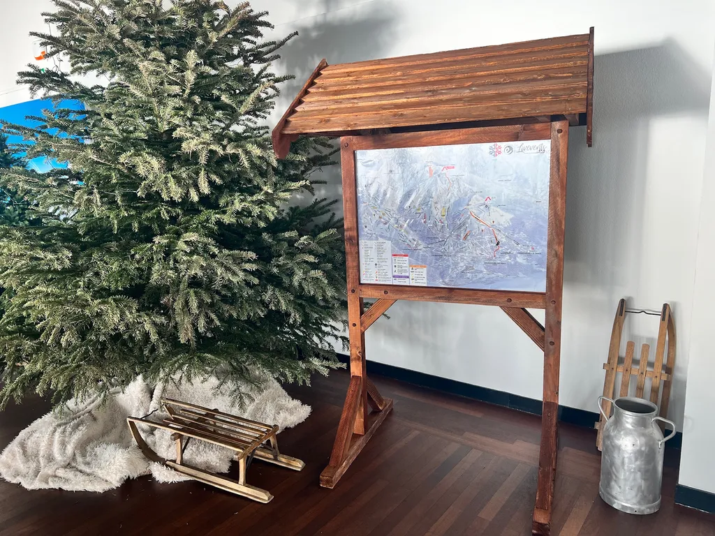 location décoration de ski