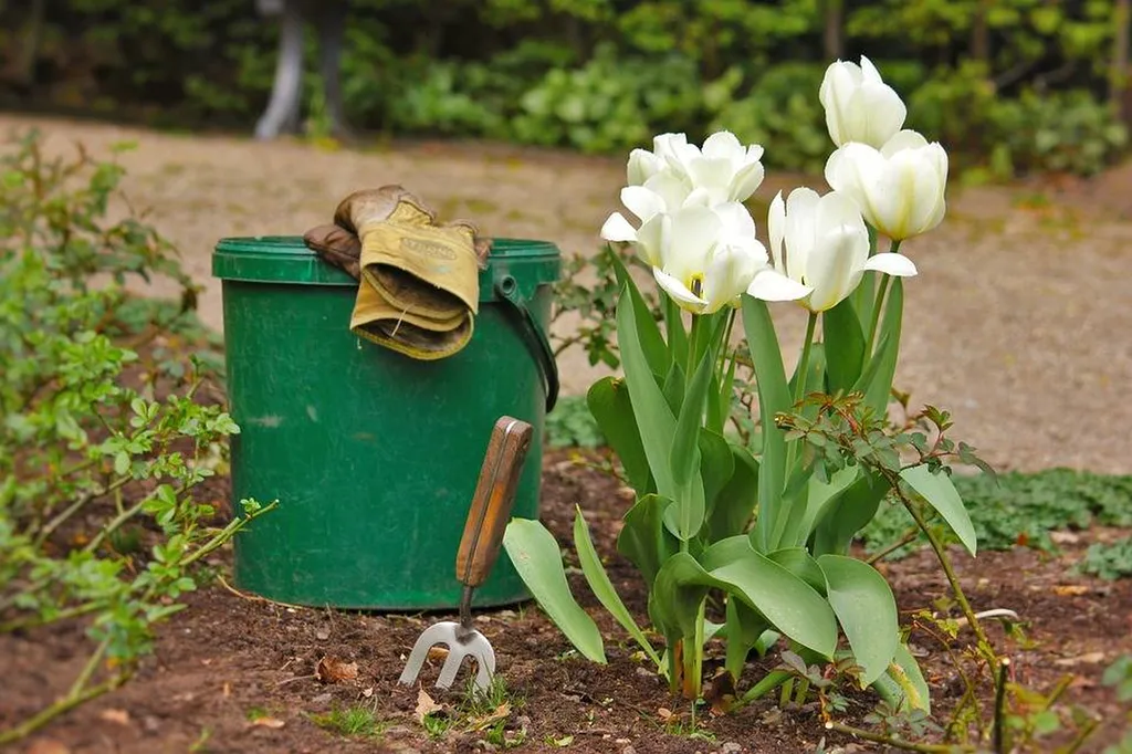 Les astuces incontournables pour un jardin à domicile florissant sur Six fours les plages dans le Var