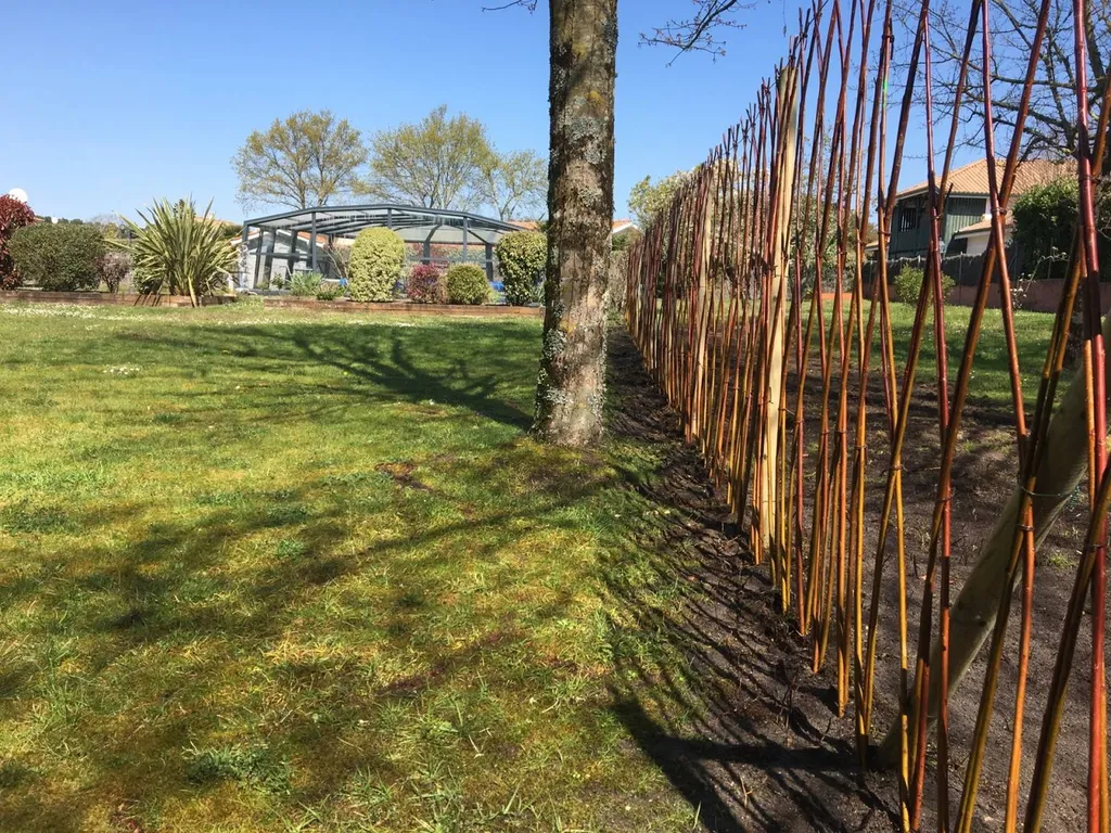 Pourquoi choisir une clôture naturelle esthétique sur mesure pour votre jardin près de Cazaux avec l’expertise des paysagistes d'Évolution Paysage