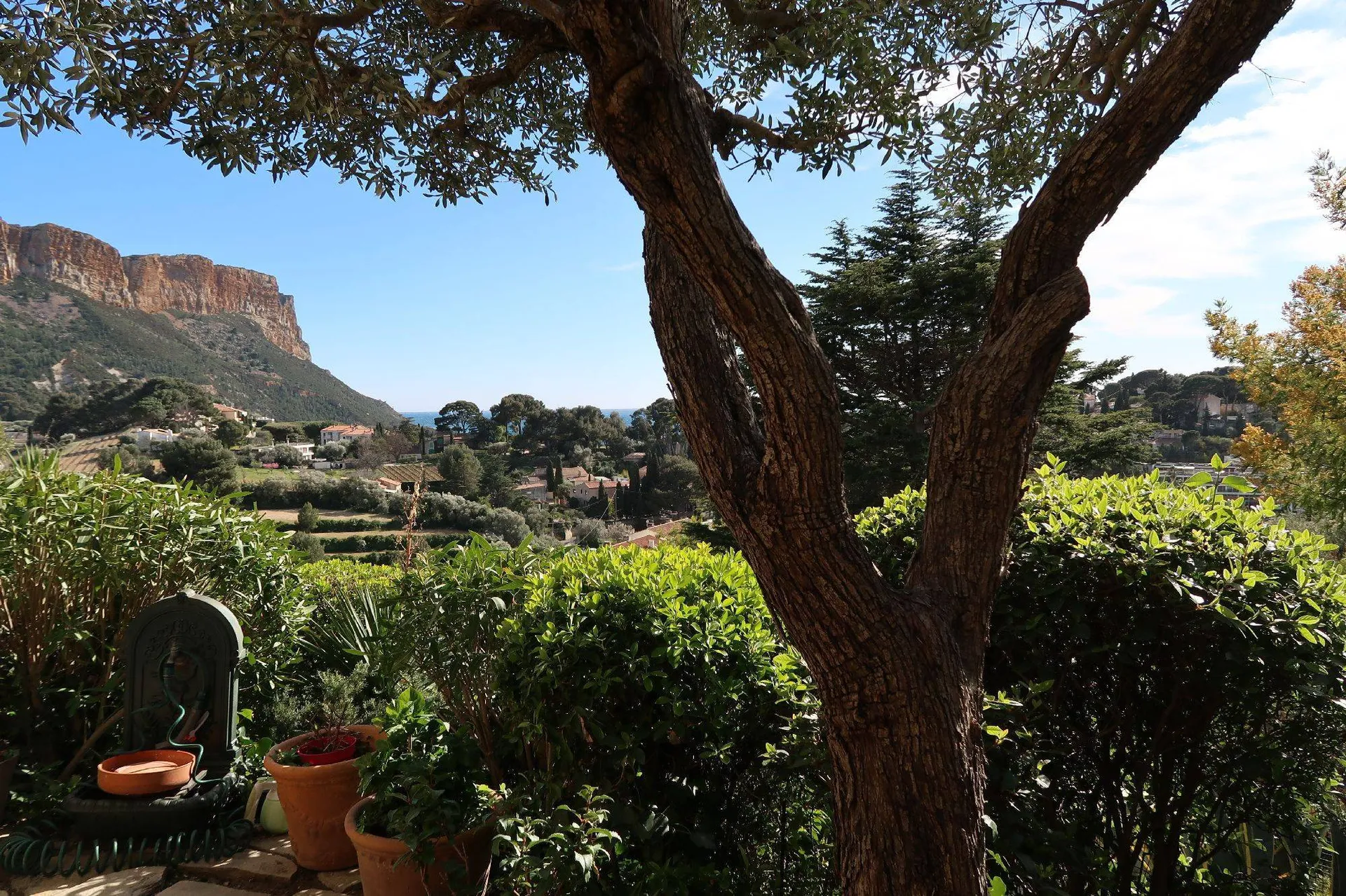 Vue sous les pins donnant sur le cap  canaille, appartement à vendre à cassis