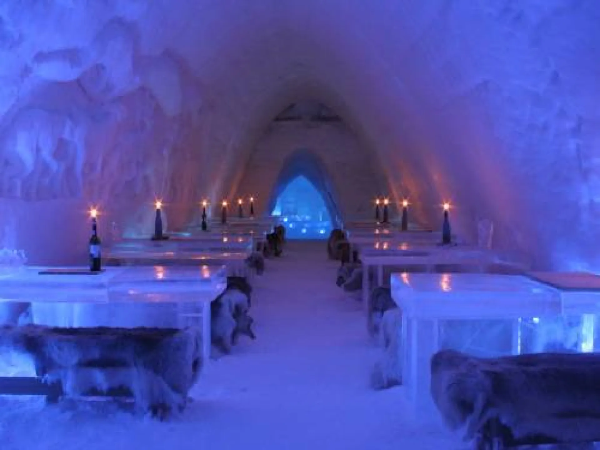 wedding planner igloo