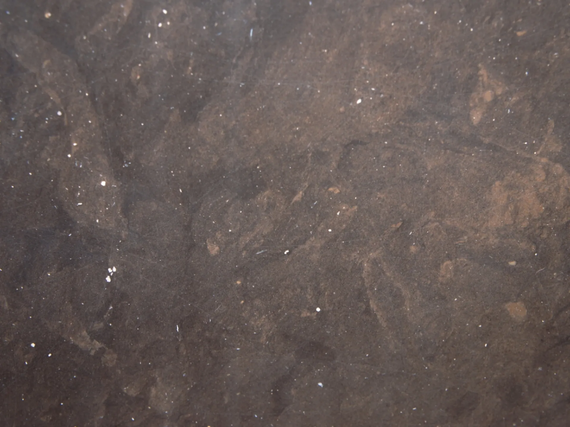 Kaesar Brown marbre marron